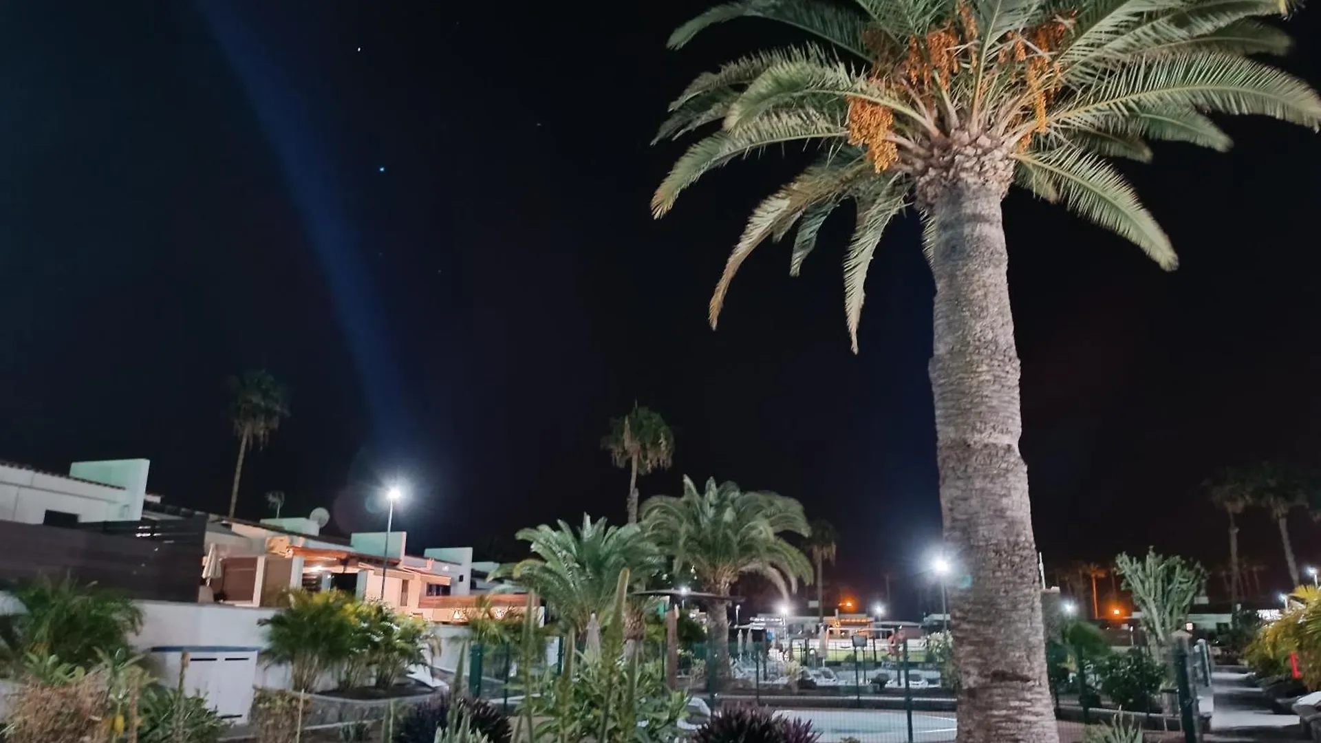 Sunny Bungalow With Garden #1 Maspalomas  Spanien